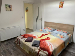 New and modern, 2 rooms cozy apartment